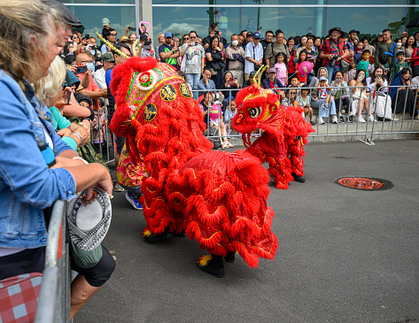 Auckland, New Zealand - Feb 03 2024: Crowds cheer lion dancers. Chinese New Year celebration. Free to public street performance.