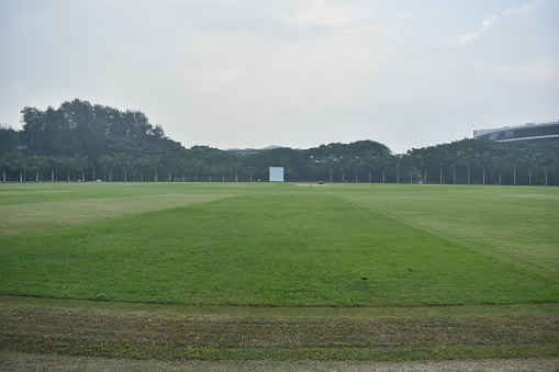 A closeup Picture of a beautiful green grass ground used to play cricket in India.
