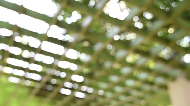 Blurred background of pillars supporting grape plants