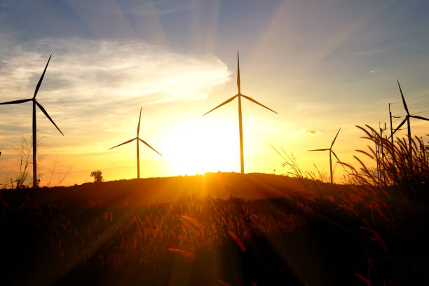 istock Wind turbines produce electricity on the hills and light in the evening. 1982106041