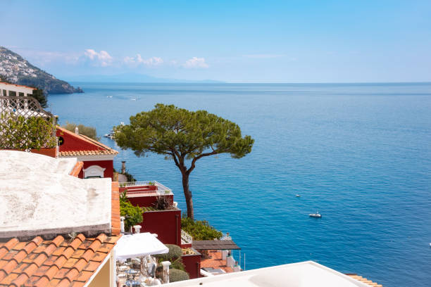 Pine tree and Positano town on Amalfi coast, Italy