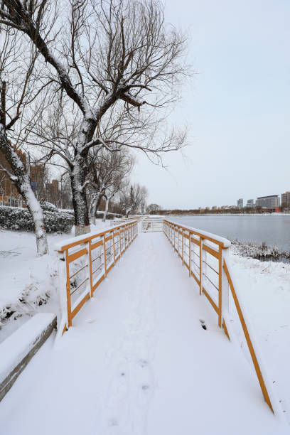 istock Snow view of city park, North China 1982199679