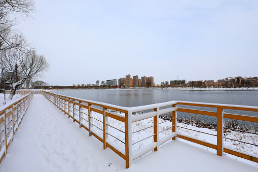 Snow view of city park, North China