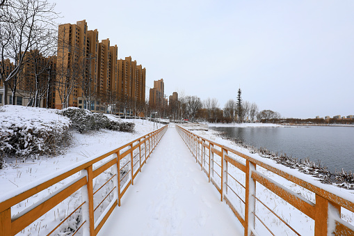 Snow view of city park, North China