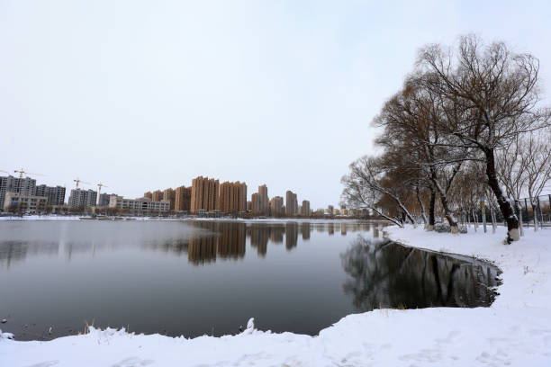 Snowscape of waterfront city, North China
