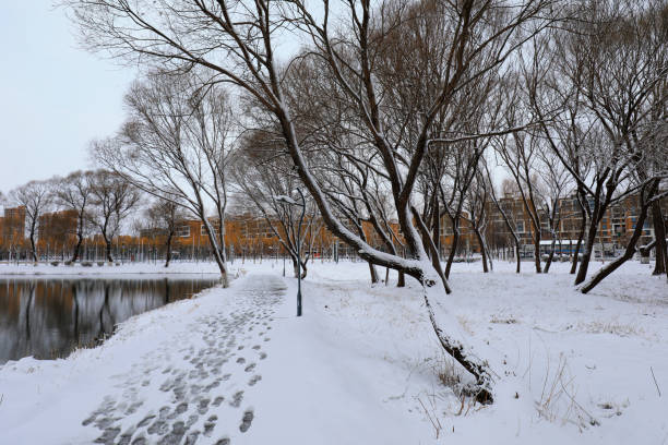 Snowscape of waterfront city, North China