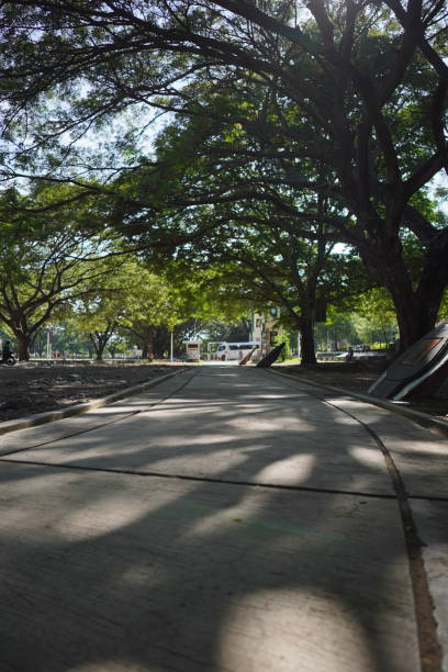 istock jogging track in Blangpadang field, Banda Aceh 1982225020