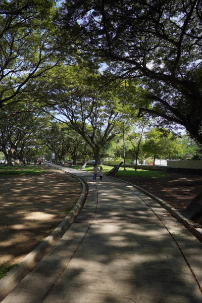 istock jogging track in Blangpadang field, Banda Aceh 1982225021