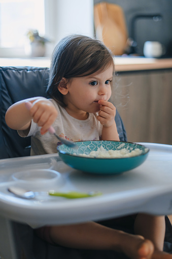 Hungry baby girl in casual clothes sitting at white table in highchair and eating porridge herself with spoon. B Healthy eating for kids. Child nutrition