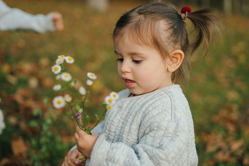 Baby girl holding chamomile flowers on a walk in the autumn park. Beautiful little girl. High quality photo