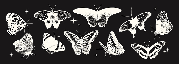 Various butterflies photocopy effect negative elements set with grunge stippling grain messy texture. Trendy spring and summer y2k aesthetic vector illustration isolated on black background