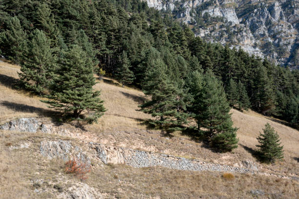 istock Panorama of the Maritime Alps (Cuneo, Piedmont, Italy) 1982300029