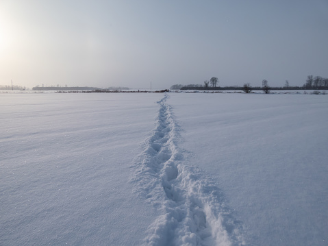 Landscape of fields covered with white snow and footprints of a person in far in very deep snow during a snowstorm with sun shining through snowy sky. Winter scenery