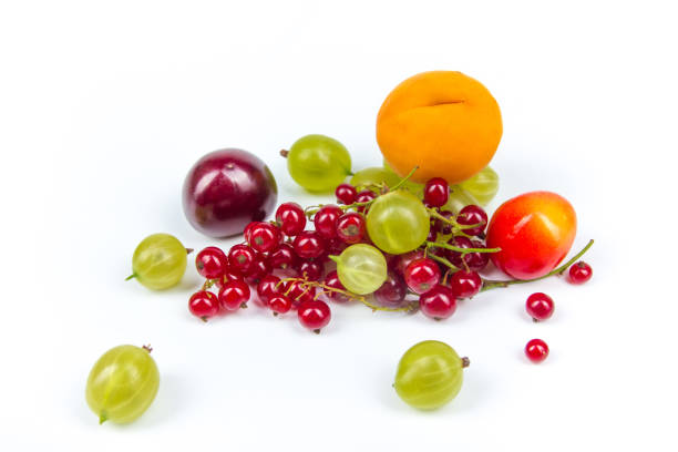 Various summer Fresh berries in a bowl. Antioxidants, detox diet, organic fruits