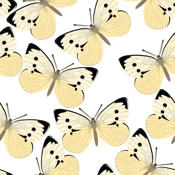 Vector illustration of Pieris rapae design seamless pattern