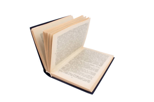 istock Open book isolated on white background. Copy space for text. 1982311790