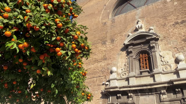 Orange tree in front of church entrance