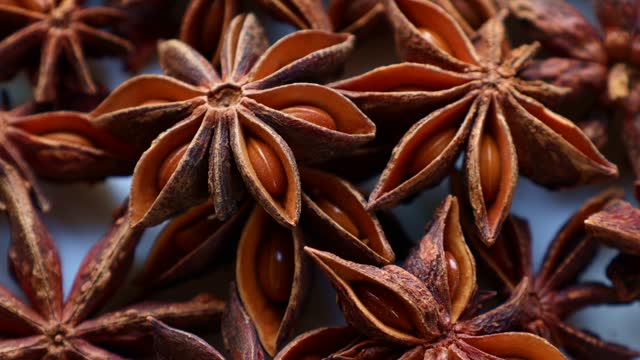 Dried brown star anise spices circle rotation close up
