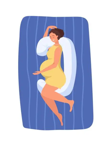 Vector illustration of Pregnant woman sleeping with maternity pillow on her bed. Happy pregnant woman relaxing. Belly support pillow. Pregnancy, maternity, healthcare, gynecology concept. Flat vector illustration isolated.