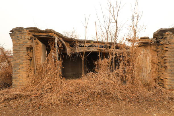 Abandoned House (Early Spring New Brunswick Canada)