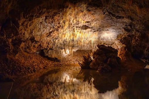 The Aven Armand chasm 100 meters underground where the largest known stalagmite in the world is 30 meters high. Hures-la-parade, Lozere, France.