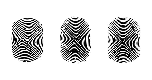 set of fingerprint patterns, clear lines and swirls. human thumbprint. icon, pictogram, logo. black and white illustration. vector isolated on a white background. security concept - individuality identity computer graphic forensic science点のイラスト素材／クリップアート素材／マンガ素材／アイコン素材