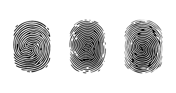 Set of Fingerprint patterns, clear lines and swirls. Human thumbprint. Icon, pictogram, logo. Black and white illustration. Vector isolated on a white background. Security concept.