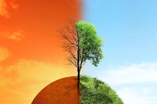 istock The difference between drought trees to growing trees on the ground with different sky 1982395957