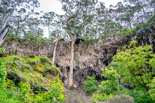 Entrance of Lake Cave, Western Australia.