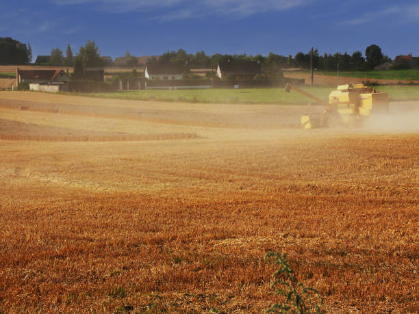 agriculture France combined harvester cereal harvesting picardy France