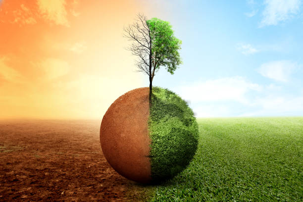 istock The difference between drought trees to growing trees on the ground with different sky 1982400697
