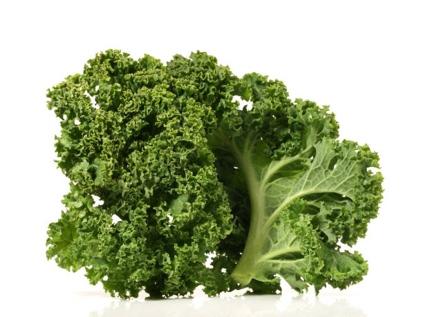 istock Green Curly Kale on white Background - Isolated 1982403878