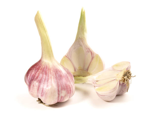 istock Fresh Garlic on white Background - Isolated 1982404416