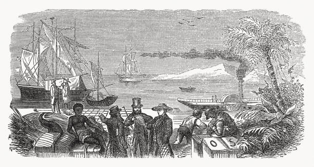 Envío de mercancías desde las colonias, grabado en madera, publicado en 1869 - ilustración de arte vectorial