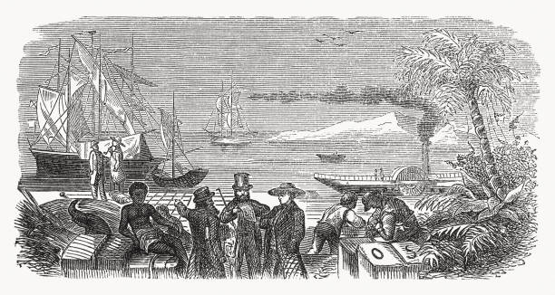 ilustrações de stock, clip art, desenhos animados e ícones de shipping of goods from the colonies, wood engraving, published 1869 - etching sailing ship passenger ship sea