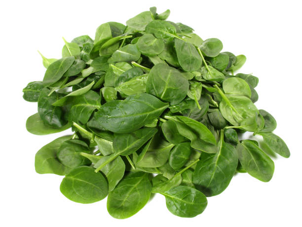 istock Fresh Baby Spinach on white Background - Isolated 1982409188