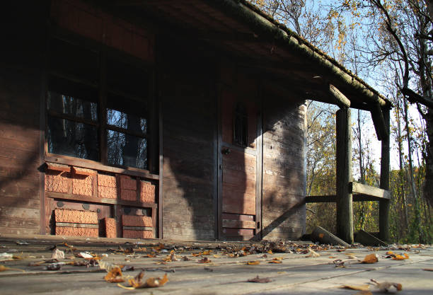 An abandoned wooden hut with fallen yellow leaves on the porch.