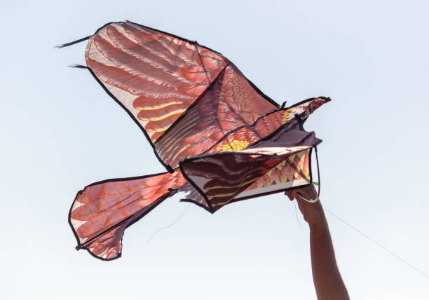 istock A kite in flight in the sky 1982472900