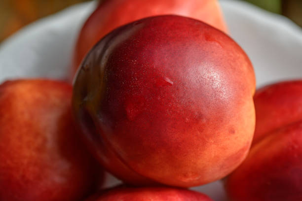 Wet juicy nectarine fruit close up
