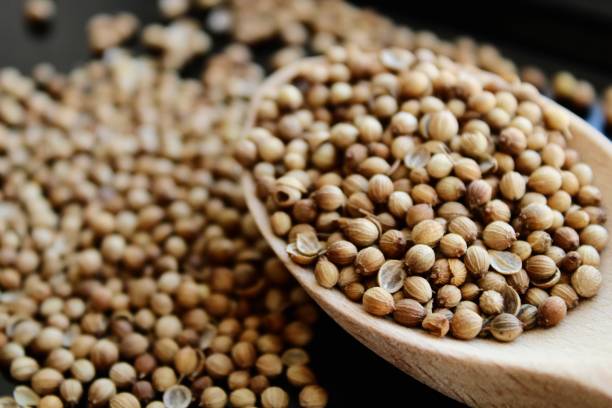 istock Coriander seeds on black background 1982479003
