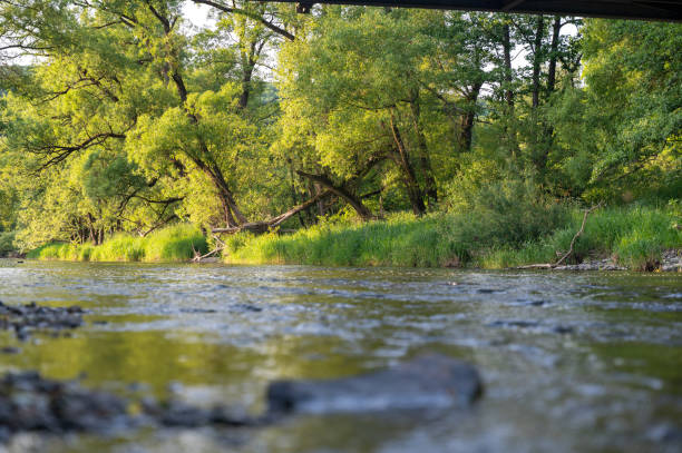 istock River landscape - A river  in a green landscape with a blurred foreground 1982548761