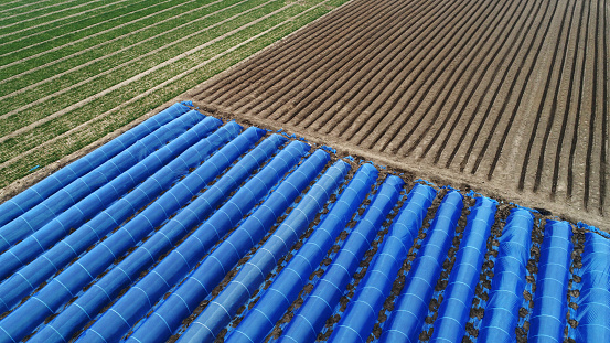 Blue plastic film greenhouse in the field, aerial photo, North China