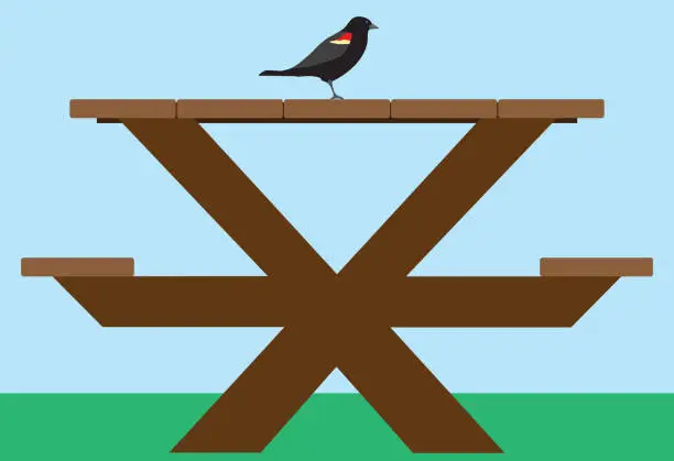 Vector illustration of Bird on Picnic Table