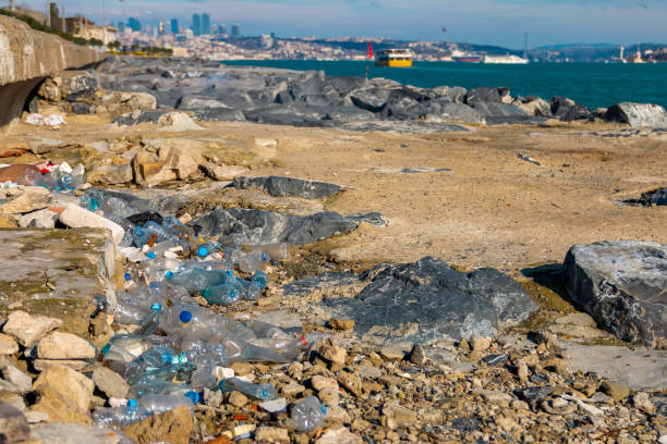 Ecology concept. Trashed coast with plastic bottles at the sea. Plastic destroying everything. Plastic waste. Abandoned marine. Spilled garbage on the beach. Empty used dirty plastic bottles and trash. Environmental pollution. Ecological problem concept. plastic marine life stock pictures, royalty-free photos & images