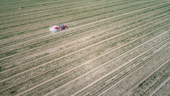 Farmers drive tractors to fertilize wheat in fields, North China