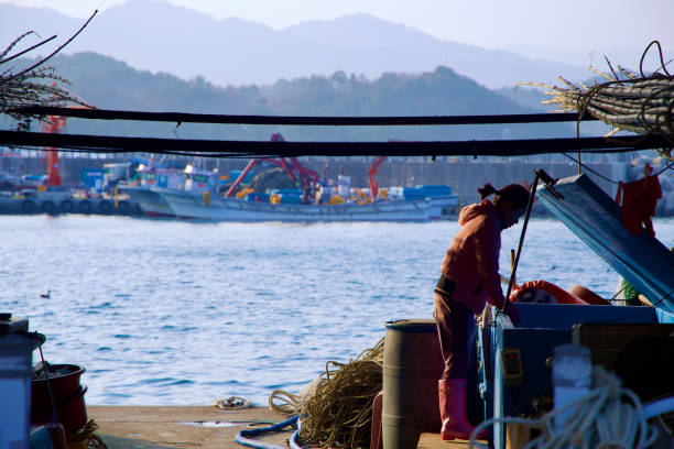 Samcheok City, South Korea - December 28, 2023: A woman fisher meticulously sorts her catch at Chogok Port, with the port's blue waters, fishing boats, nets, and fishing accessories in the background.