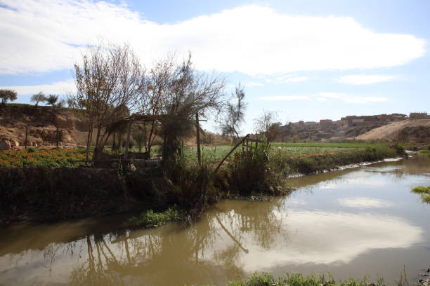 istock stream, plantations, down hill in a village 1982629358