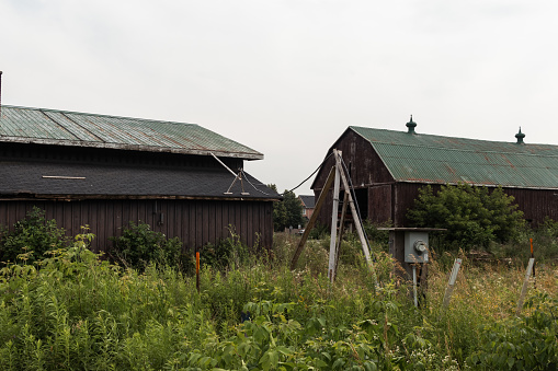 Old wooden barn - weathered texture - green metal roof - surrounded by wild grass and plants - cloudy sky backdrop. Taken in Toronto, Canada.