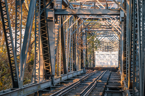 An abandoned railway bridge in the woods.