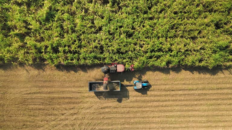 Aerial  Harvest for corn silage